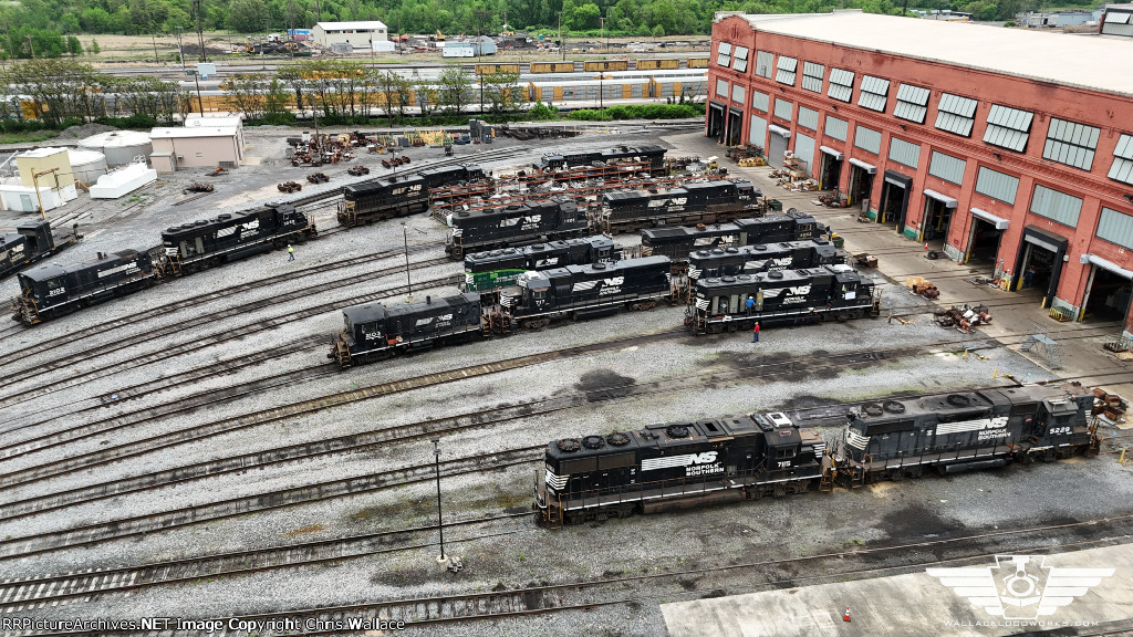 NS 7115